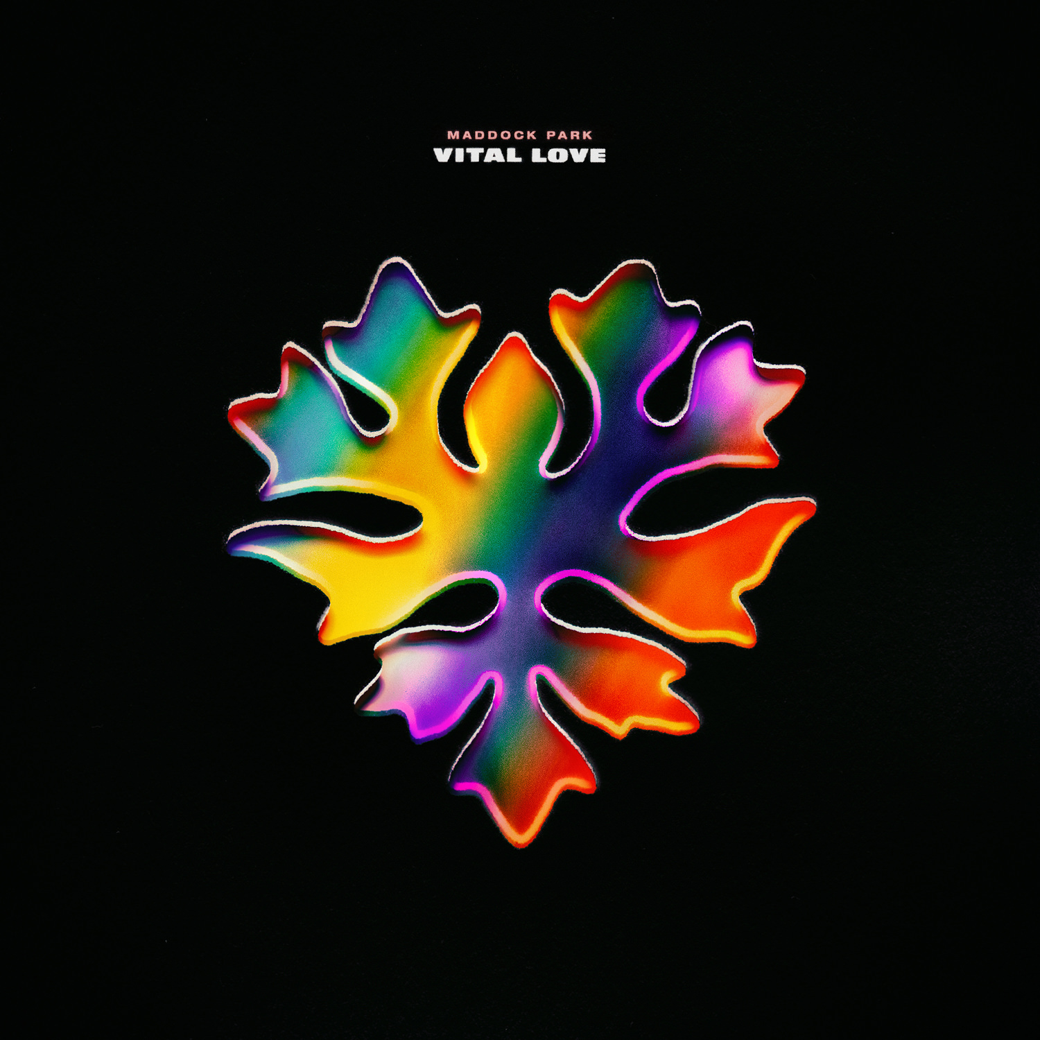 Vital Love Album Cover by Herm the Younger