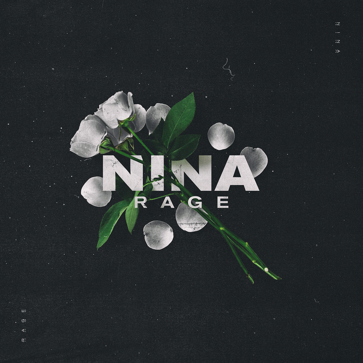 Nina Album Cover