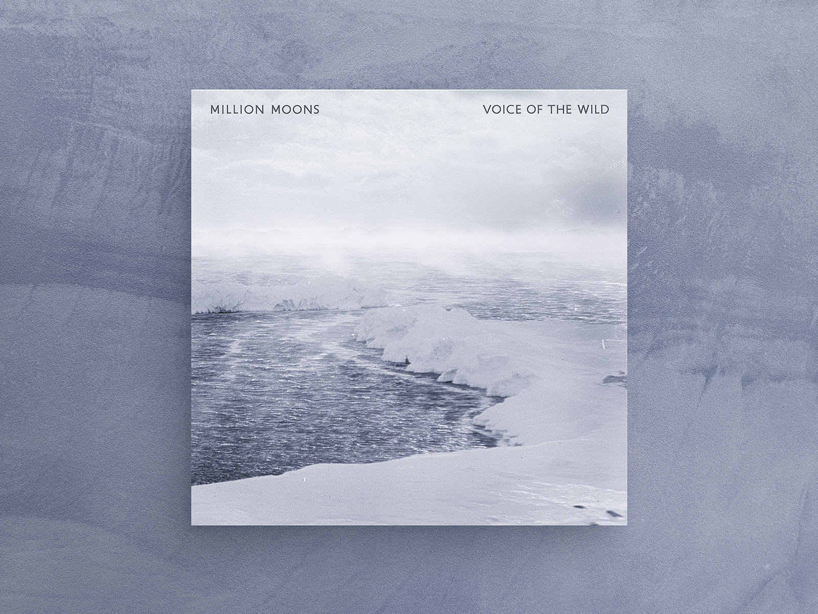 Single Cover for “Voice of the Wild” by Million Moons, 2024.
